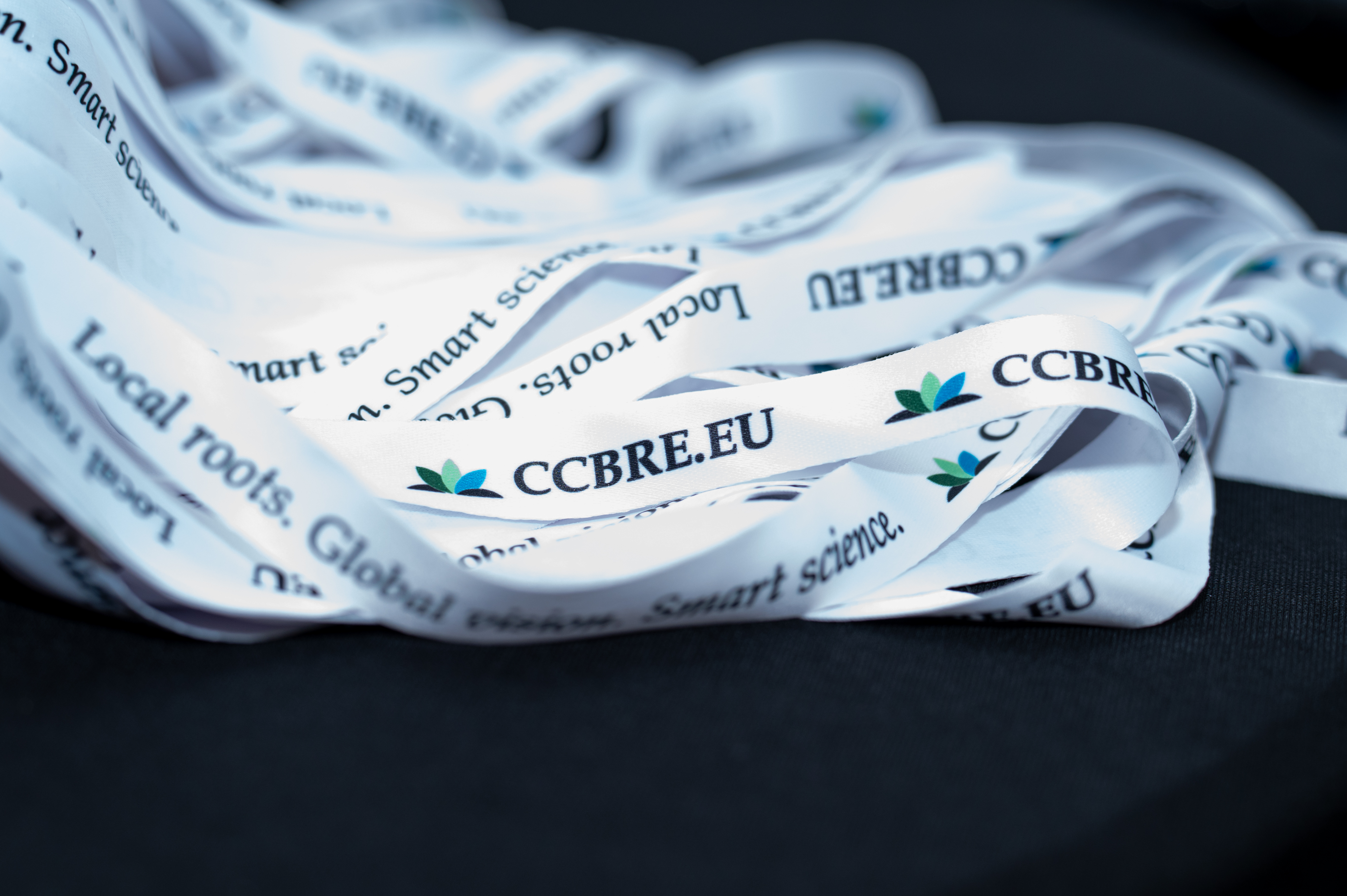 Workshop with companies